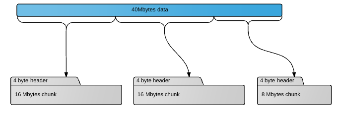 standard_packet